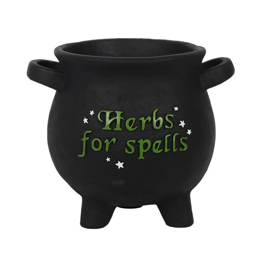 Cauldron Herbs for Spells Large Plantpot