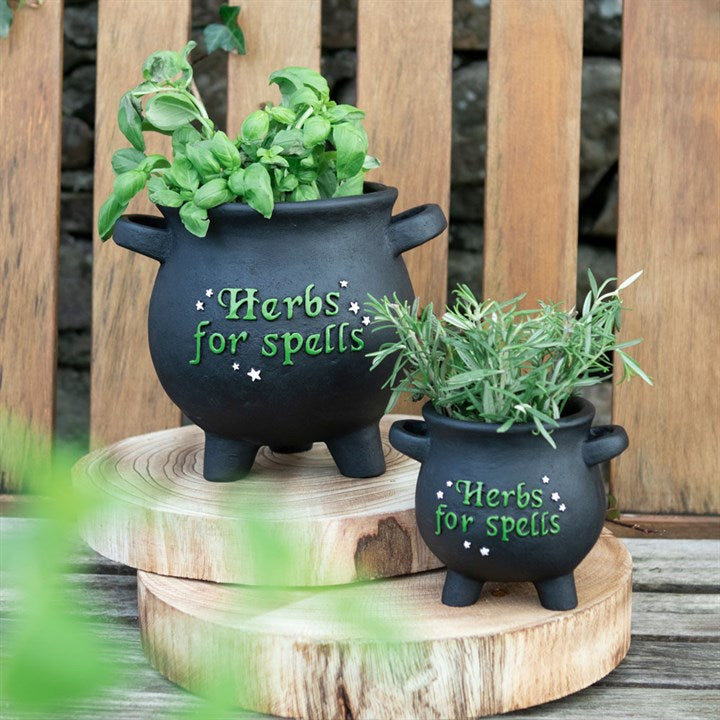 Cauldron Herbs for Spells Small  Plantpot