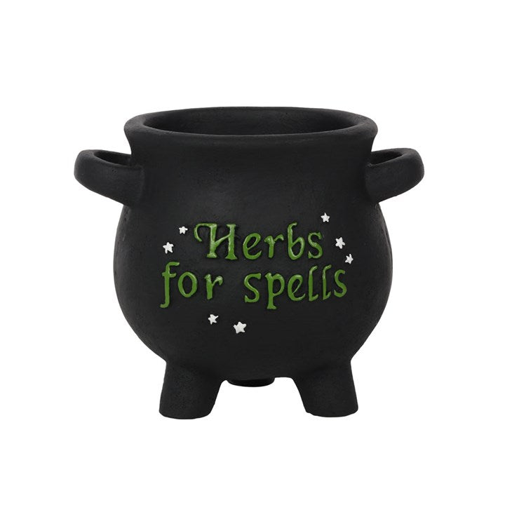 Cauldron Herbs for Spells Small  Plantpot