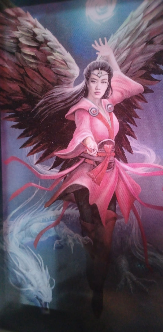 Anne Stokes Air Elemental Sorceress canvas print