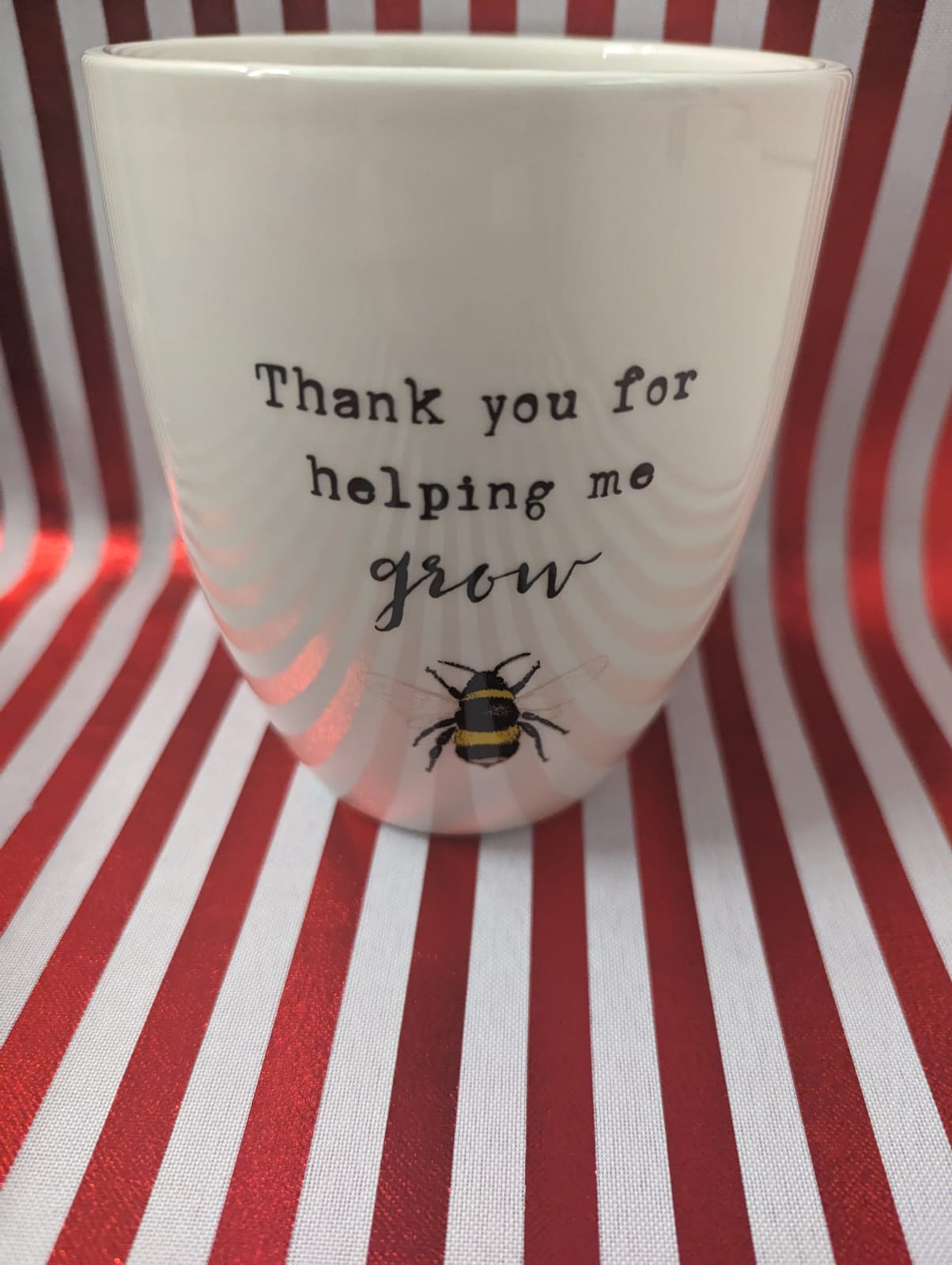 "THANK YOU FOR HELPING ME GROW" Ceramic  Plant pot