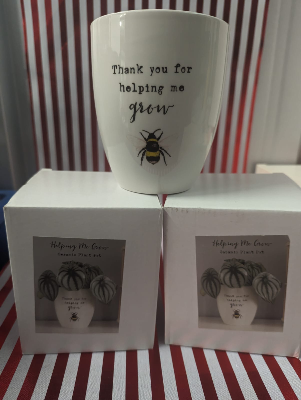 "THANK YOU FOR HELPING ME GROW" Ceramic  Plant pot